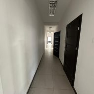 Lokal na wynajem