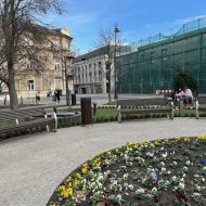 Mieszkanie na wynajem