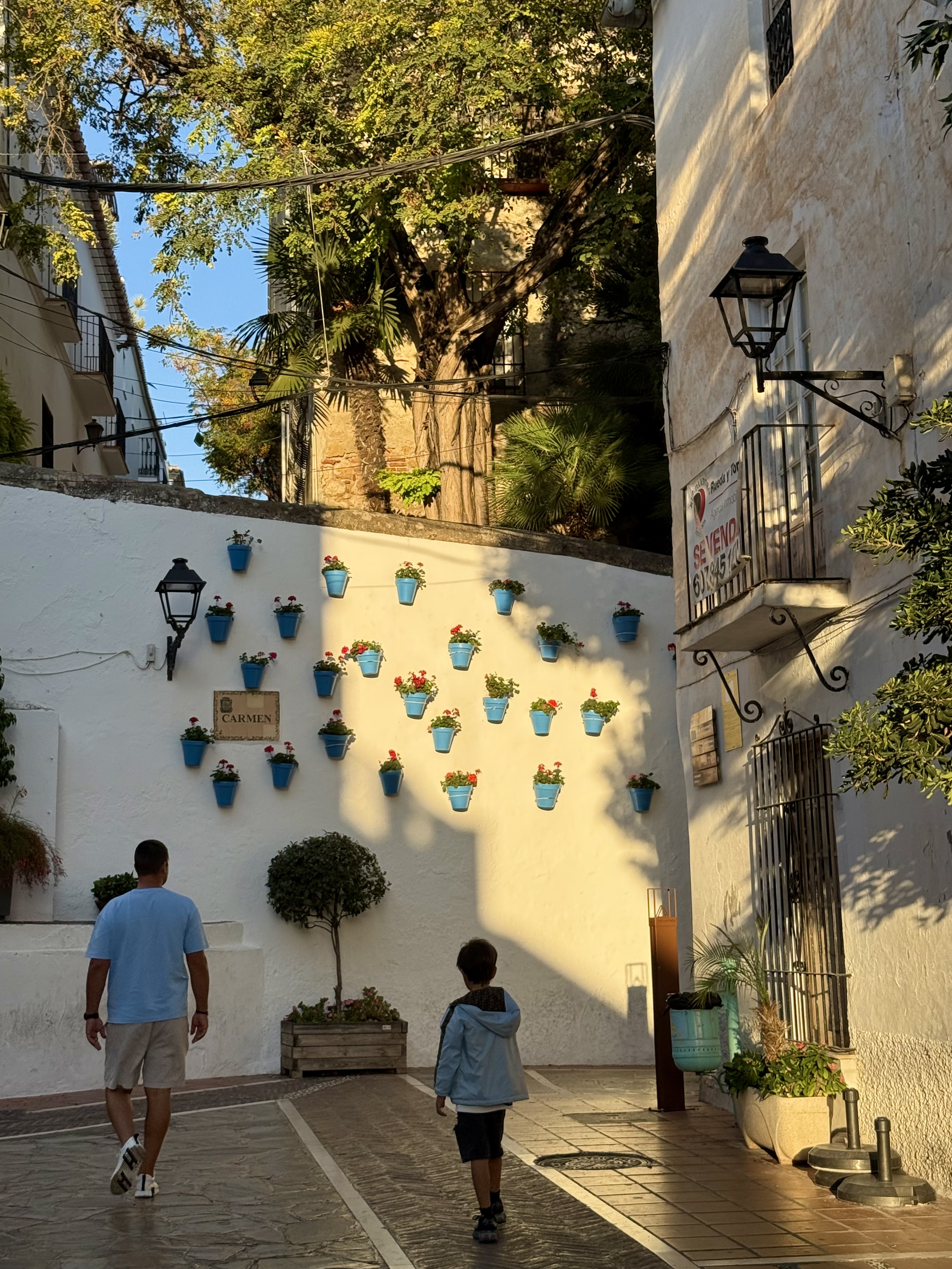 Flowerpots wall