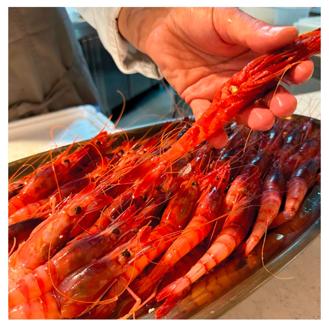 Mediterranean red prawns